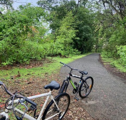 a43ae4d5b8acd1e81880583f2063ced3