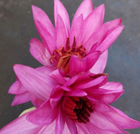 ac2eba1e4b60ec220d9ab017577171f0