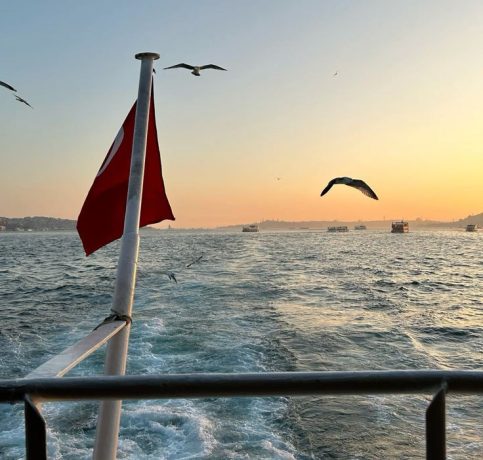 b7ed7e41a2a6e75f315529c8fcafe977