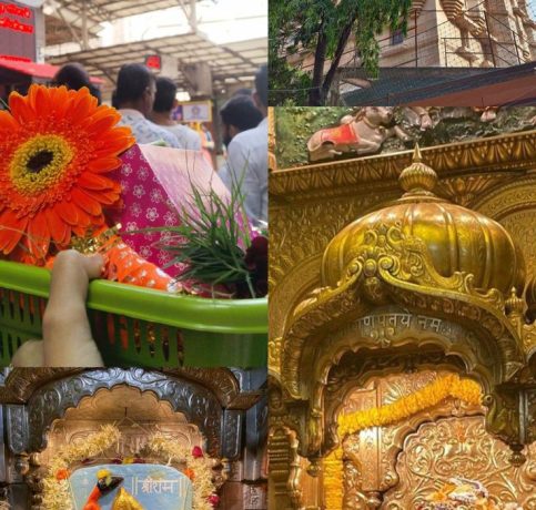 c2a03e27d8234dbc8997533918619919