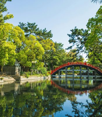 Picturesque view of green Sumiyoshi Grand Shrine temple territory in Osaka Japan on summer sunny day